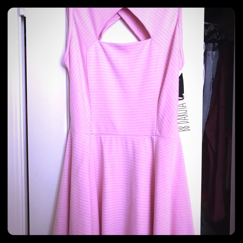 BB Dakota pink/ white striped dress